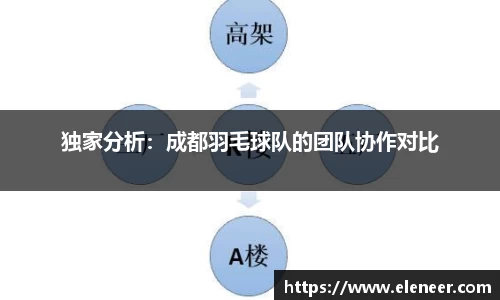 独家分析：成都羽毛球队的团队协作对比